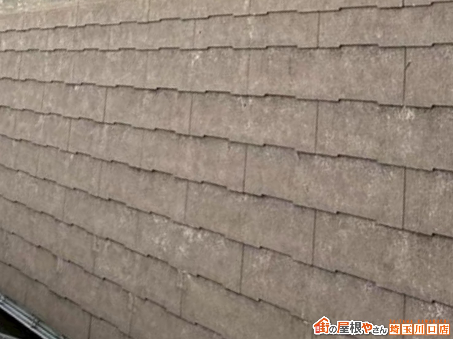 屋根アップ　点検